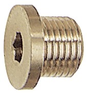 Locking Screw, Hexagonal Socket and Flange, G 1/8 - R 1/2