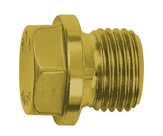 Locking Screw, Exterior Hexagonal and Flange, G 1/8 - 1, AF 10 - 27, Brass